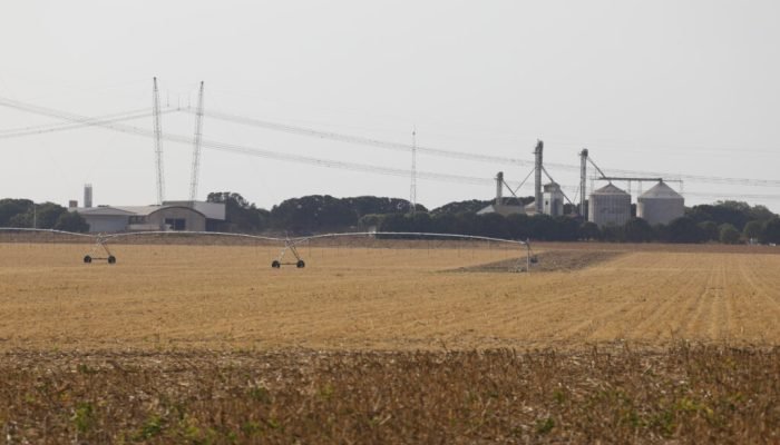 d6a8033_0-1024x683-1