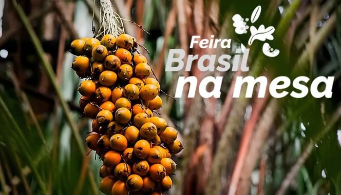 Foto: Conteúdo e Notícias do Agronegócio Brasileiro | CompreRura