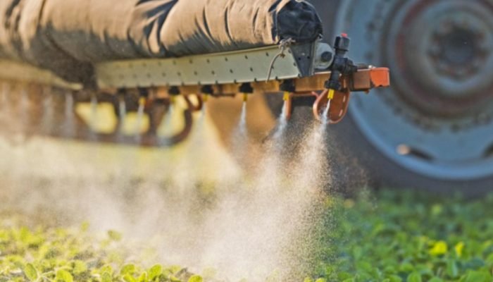 Foto: Foto: Divulgação