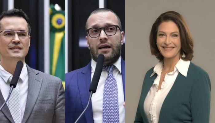 Deltan Dallagnol, Filipe Barros e Cristina Graeml (Colagem)