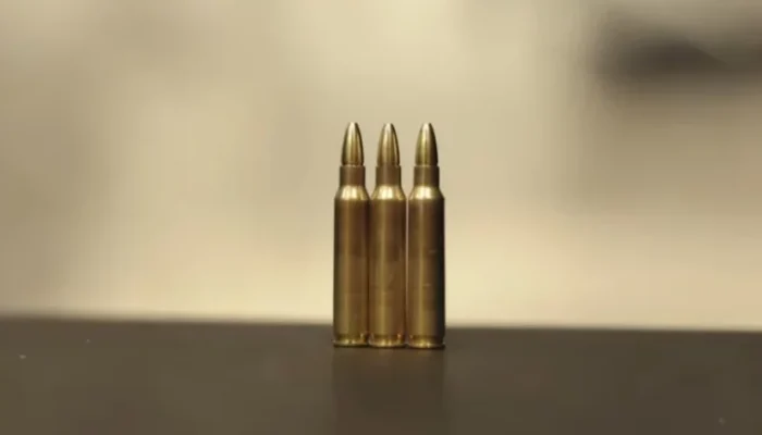 download-2-1024x412-1