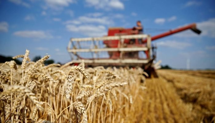 Foto: Conteúdo e Notícias do Agronegócio Brasileiro | CompreRura