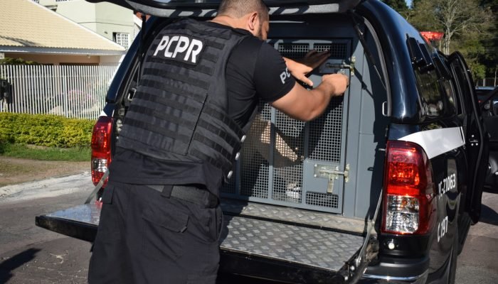 Foto: Governo do Paraná