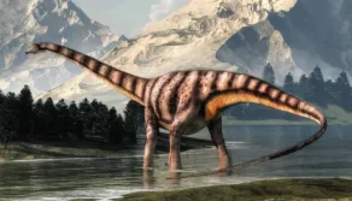 espanha_perfil-de-dinossauro-300x167.jpeg