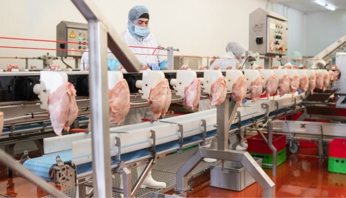 exportacoes-de-frango-do-parana-crescem-20-entre-j006700900202609031531.jpg