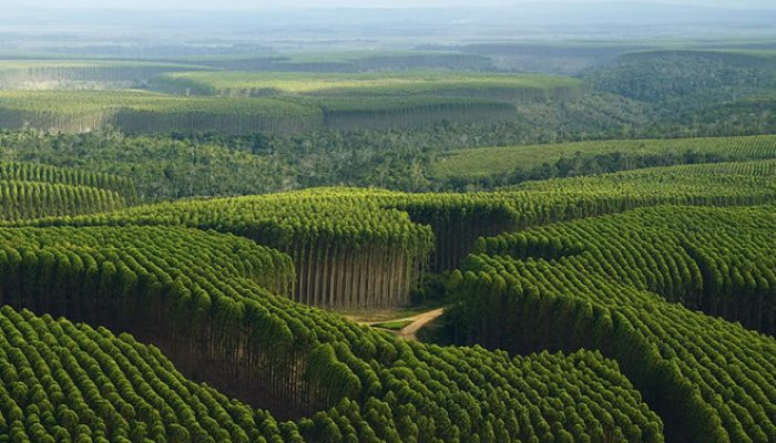 Foto: Foto: Divulgação