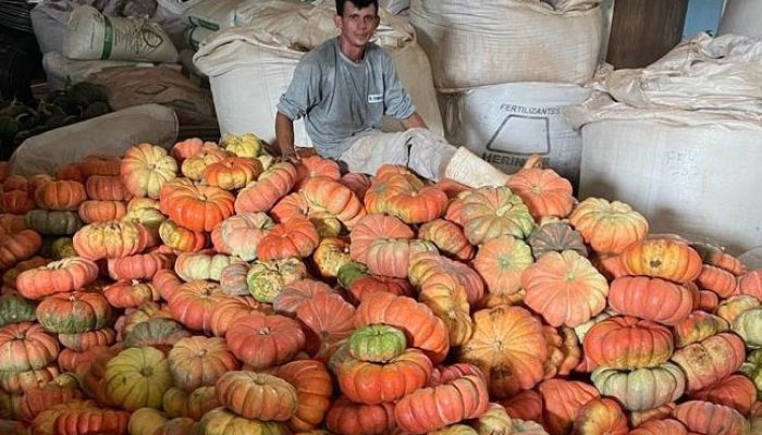 Foto: Governo do Paraná