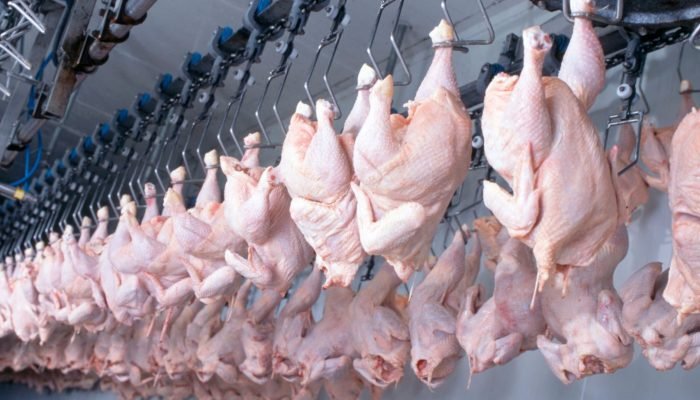 Foto: Conteúdo e Notícias do Agronegócio Brasileiro | CompreRura