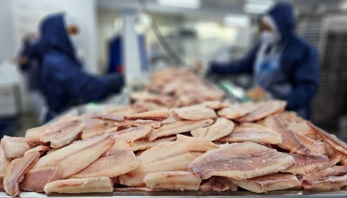 governo-de-minas-gerais-eleva-tributacao-sobre-tilapia-impor-capa-1200x675-1