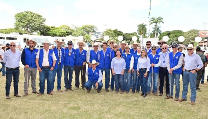 Foto: Conteúdo e Notícias do Agronegócio Brasileiro | CompreRura