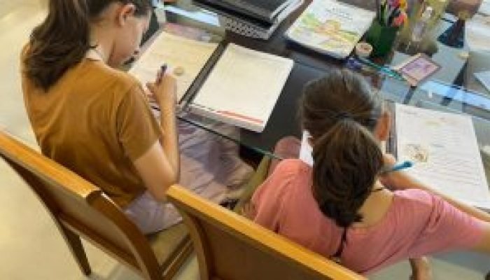 homeschooling-jales-300x169-1