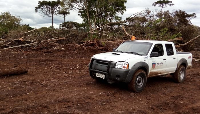 Foto: Governo do Paraná