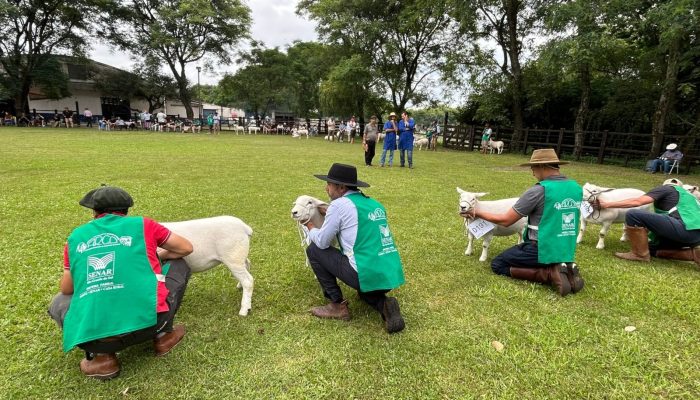 Foto: Foto: Divulgação