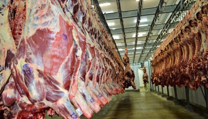 Foto: Conteúdo e Notícias do Agronegócio Brasileiro | CompreRura