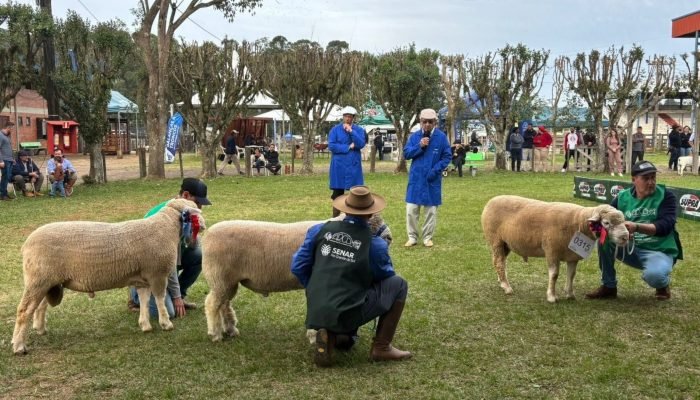 Foto: Conteúdo e Notícias do Agronegócio Brasileiro | CompreRura