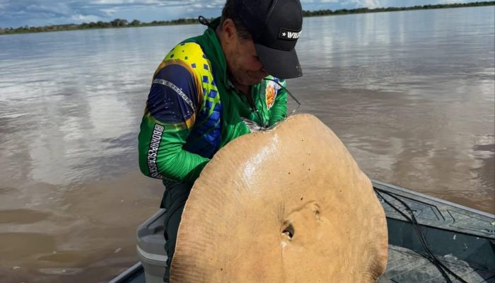 Foto: Foto: Divulgação