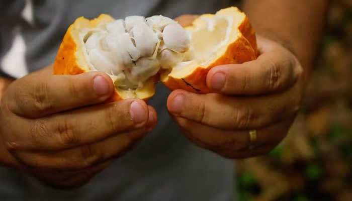 Foto: Foto: Divulgação