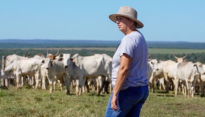 Foto: Conteúdo e Notícias do Agronegócio Brasileiro | CompreRura