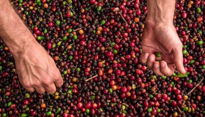 Foto: El Niño vem aí: Risco de temporais e aumento de enchentes no Sul do Brasil
