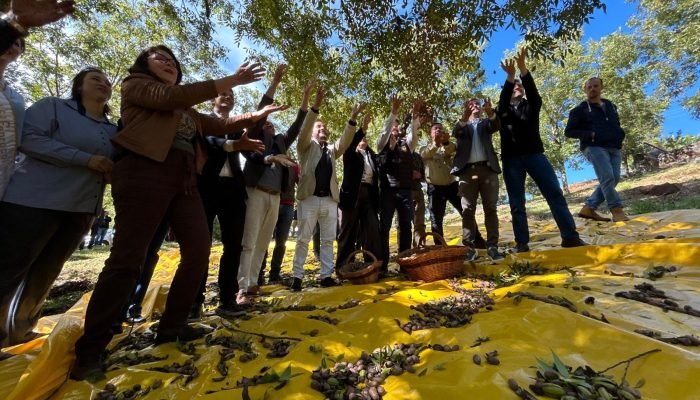 Foto: Conteúdo e Notícias do Agronegócio Brasileiro | CompreRura