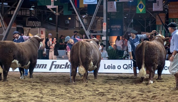 Foto: Foto: Fernando Spolavori, Divulgação