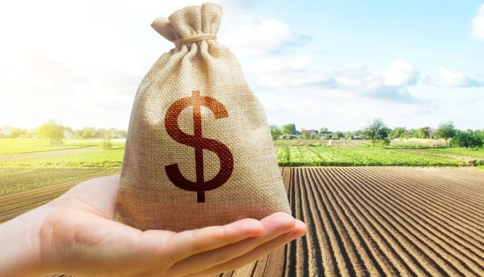 Foto: Conteúdo e Notícias do Agronegócio Brasileiro | CompreRura