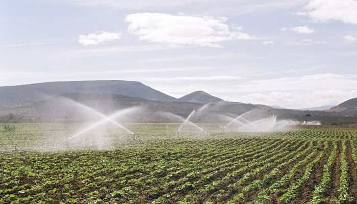 Foto: Foto: Compre Rural