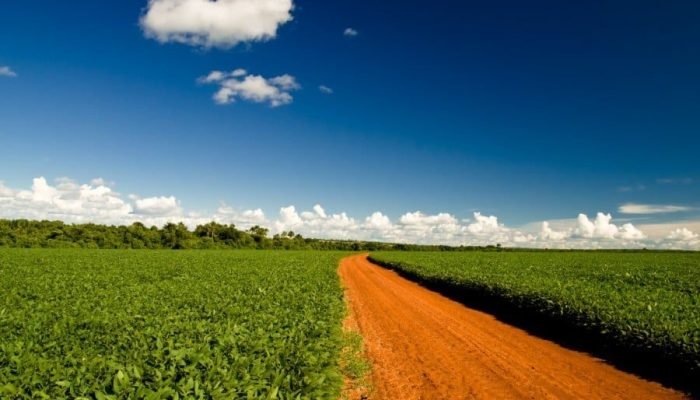 Foto: Conteúdo e Notícias do Agronegócio Brasileiro | CompreRura
