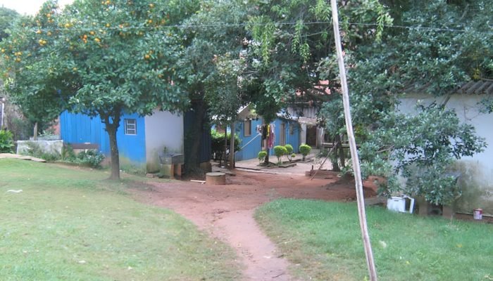 Foto: Conteúdo e Notícias do Agronegócio Brasileiro | CompreRura