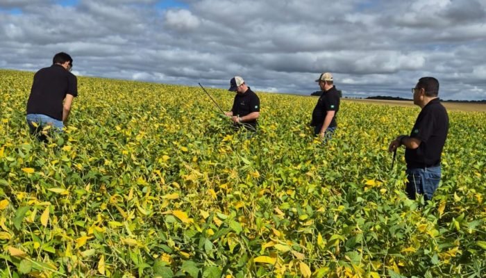 Foto: Conteúdo e Notícias do Agronegócio Brasileiro | CompreRura
