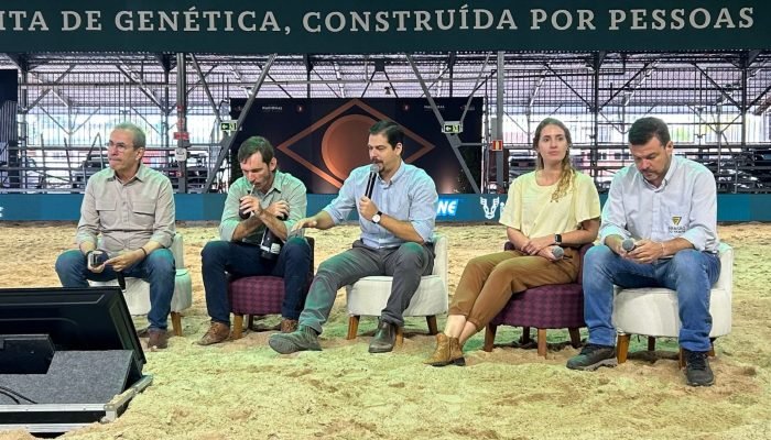 Foto: Conteúdo e Notícias do Agronegócio Brasileiro | CompreRura