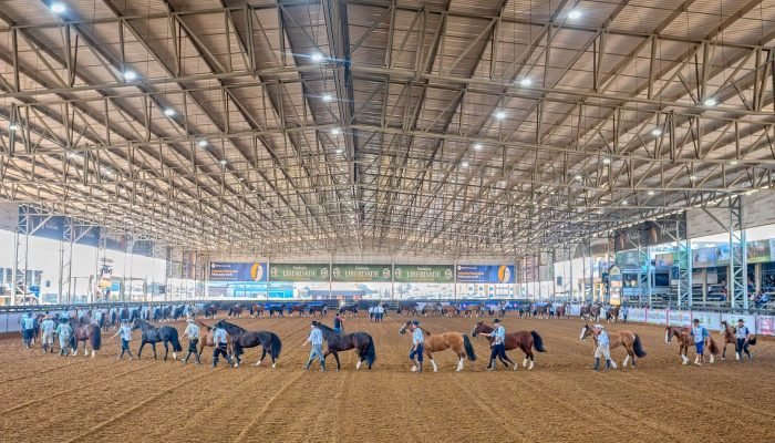 Foto: Conteúdo e Notícias do Agronegócio Brasileiro | CompreRura