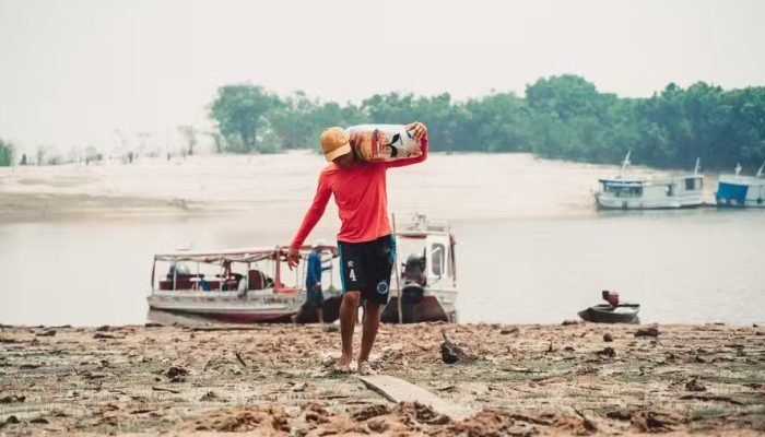 Foto: Notícias do Agronegócio Brasileiro – CompreRural