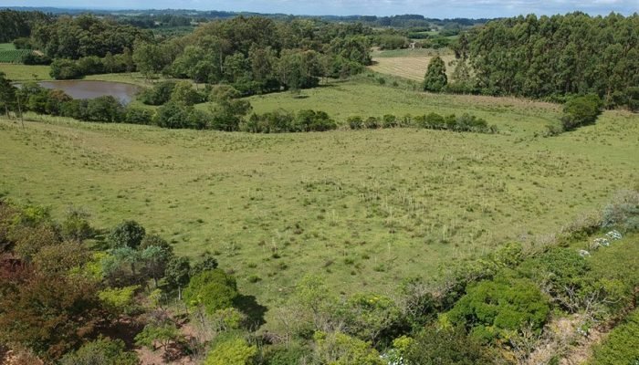 Foto: Conteúdo e Notícias do Agronegócio Brasileiro | CompreRura