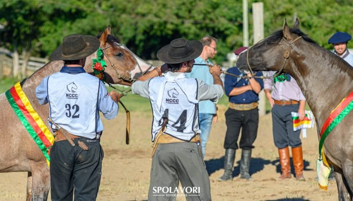 Foto: Conteúdo e Notícias do Agronegócio Brasileiro | CompreRura
