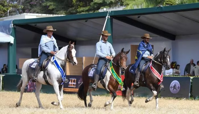 Foto: Conteúdo e Notícias do Agronegócio Brasileiro | CompreRura