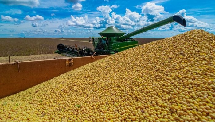 Foto: Conteúdo e Notícias do Agronegócio Brasileiro | CompreRura