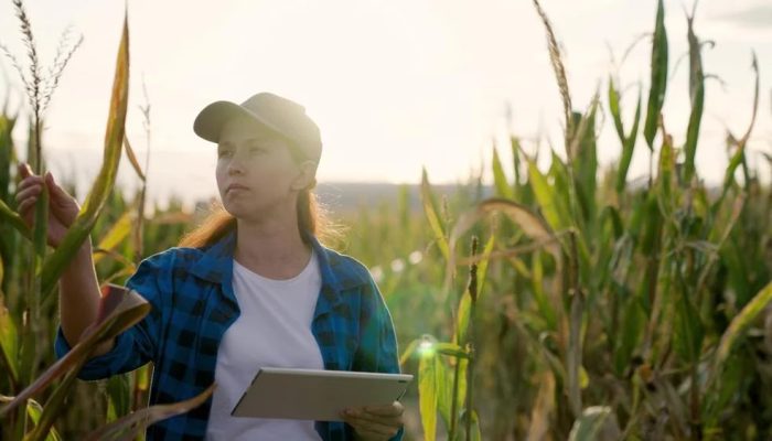 Foto: Foto: Divulgação
