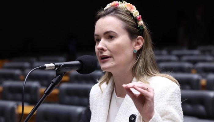 A iniciativa foi articulada pela deputada federal Júlia Zanatta (PL-SC). — Foto:
