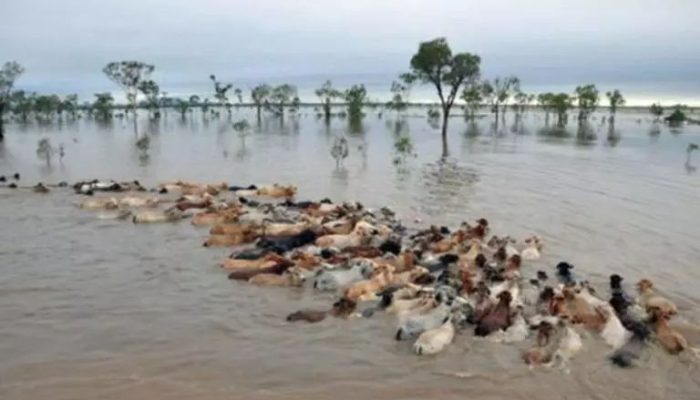 inundacao-historica-australia