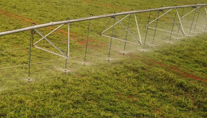 Foto: Governo do Paraná