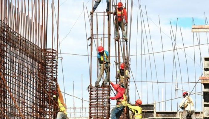 Foto: Josue Isai Ramos Figueroa/Unsplash