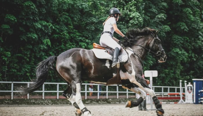 Foto: Foto: Lily Banse