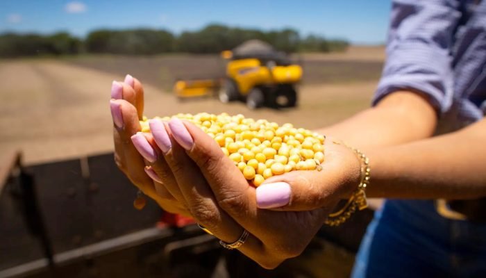 Foto: Conteúdo e Notícias do Agronegócio Brasileiro | CompreRura