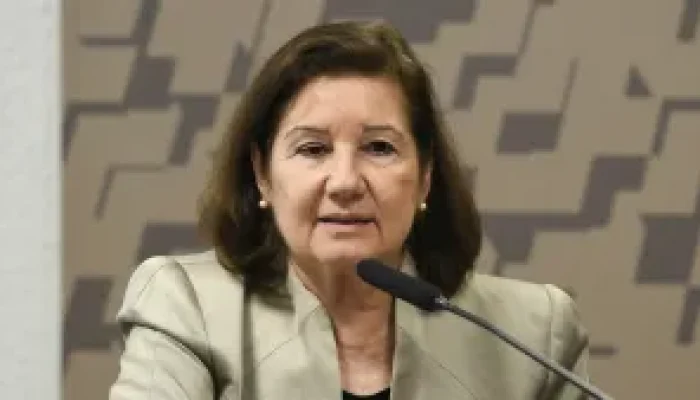 maria-luiza-ribeiro-viotti-300x169.jpg