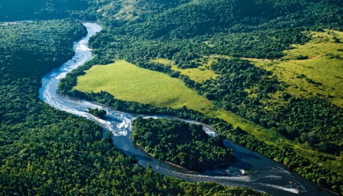 Foto: Notícias do Agronegócio Brasileiro – CompreRural