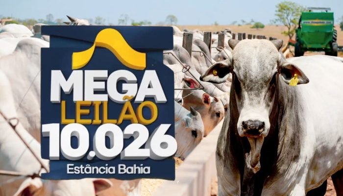 Foto: Conteúdo e Notícias do Agronegócio Brasileiro | CompreRura