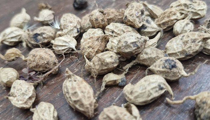 Foto: Foto: Marcos Esteves