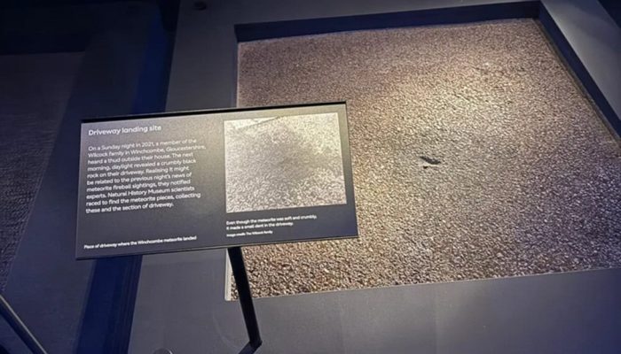 meteorito-de-Winchcombe-2-1008x1024-1