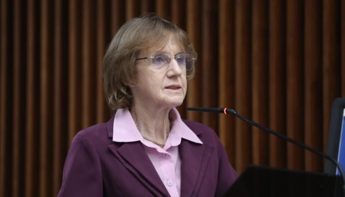 Deputada Luciana Rafagnin (PT). — Foto: Deputada Luciana Rafagnin (PT).
